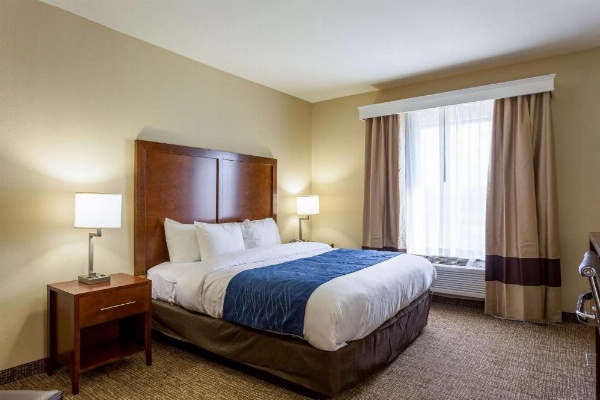 Comfort Inn & Suites Airport image 11