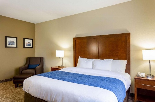 Comfort Inn & Suites Airport image 14