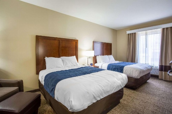 Comfort Inn & Suites Airport image 16