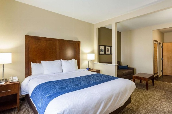 Comfort Inn & Suites Airport image 27