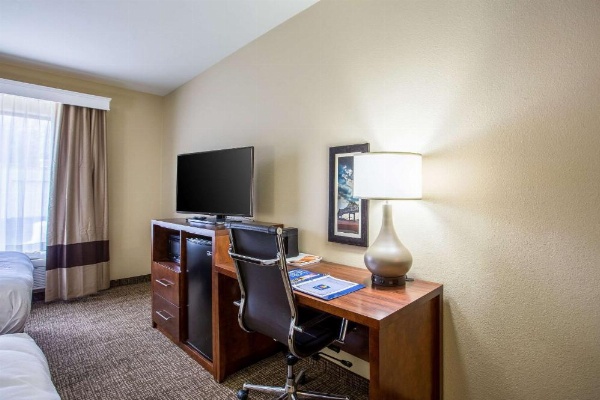 Comfort Inn & Suites Airport image 28